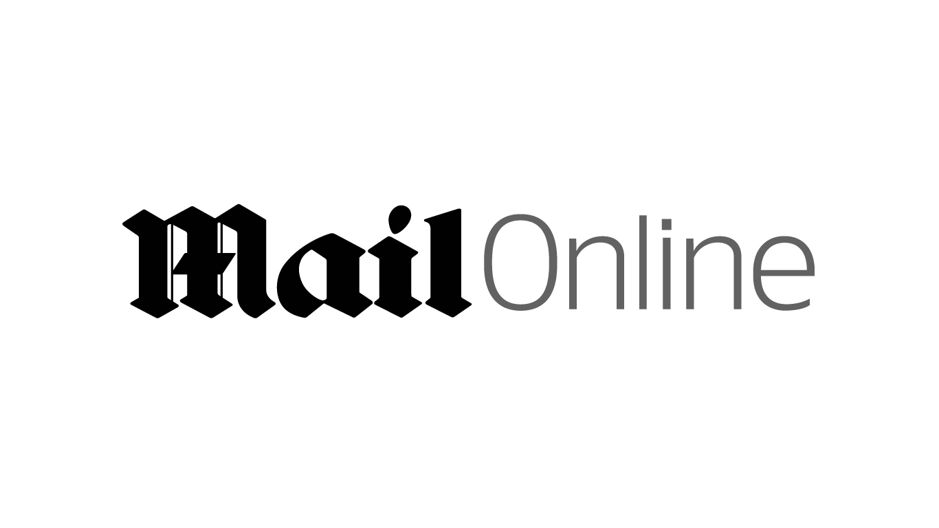 Mail Online logo